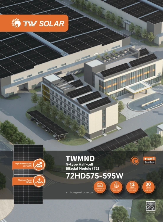 Панель фотовольтаїчна TW Solar 590W Bifacial скло-скло