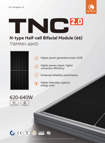Фотовольтаїчна панель TW Solar 640W Half-Cut N-Type Bifacial скло-скло срібляста