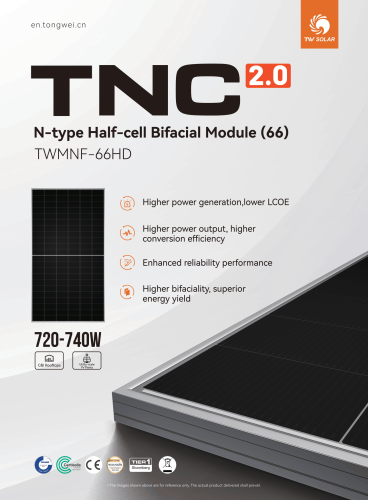 Паллета з 33 шт. фотогальванічних панелей TW Solar 725Вт Half-Cut N-Type Bifacial Glass-Glass Silver